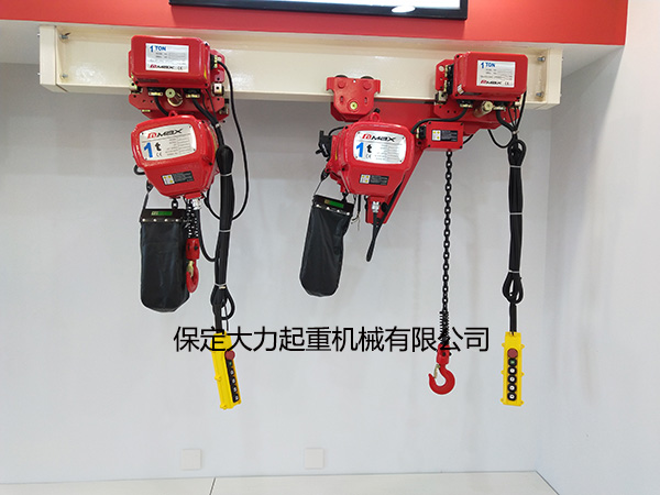 河北大力環鏈電動葫蘆圖 河北大力環鏈電動葫蘆圖